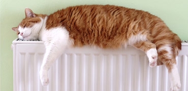 Какой радиатор отопления выбрать лучше
